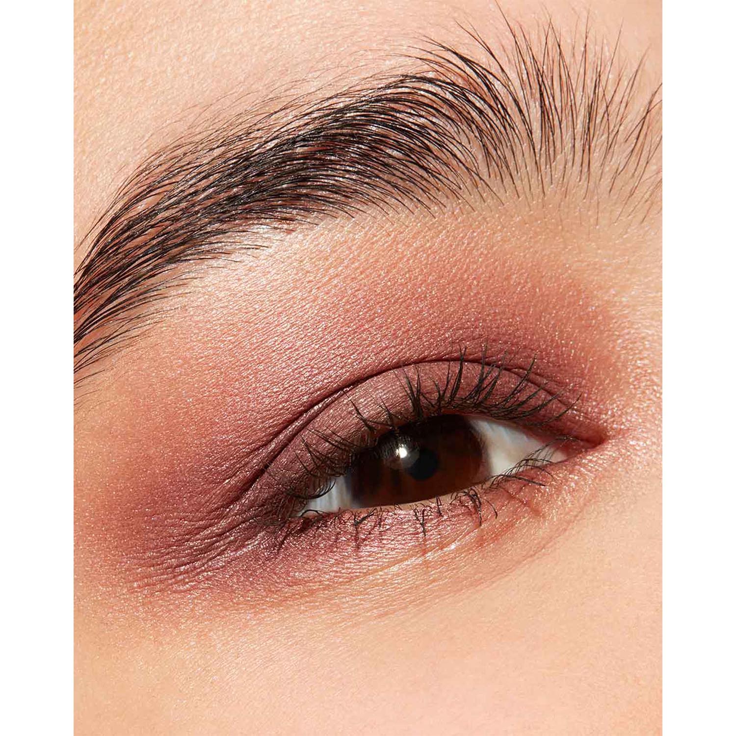 Connect In Colour Eye Shadow Palette: Embedded in Burgundy